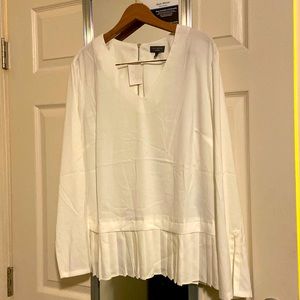 NWT Blouse from the Limited! Stunning and dressy